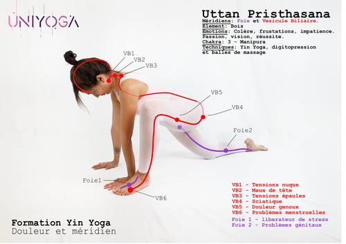 Brochure Yin Yoga - Méridiens & Douleur course image