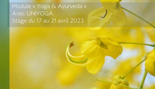 Yoga & Ayurveda course image